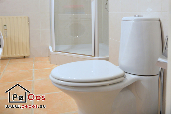 Toilet en douche in badkamer