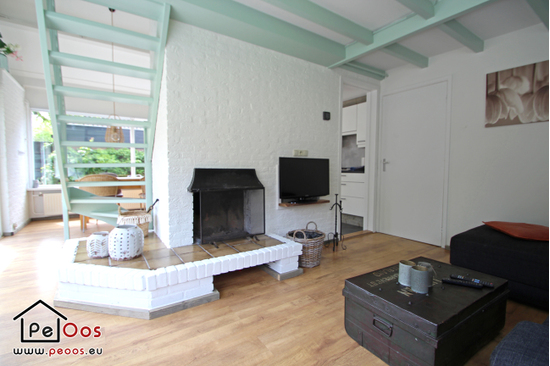 Living room with fireplace