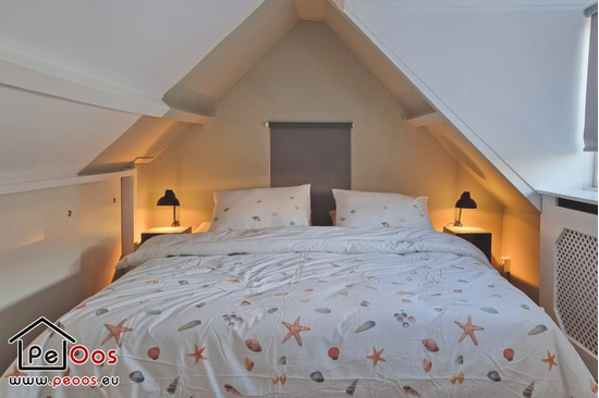 Bedroom in the attic